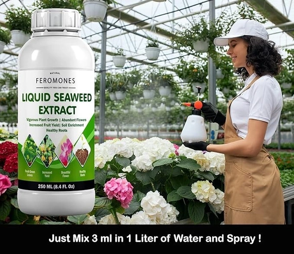 FEROMONES Combo Of Pure Seaweed Extract And Micro Nutrient Booster Liquid - Fertilizer For Home Gardening - 250 ml + 250 ml