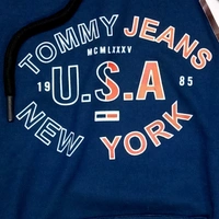 Tommy Hilfiger  TOMMY HILFIGER COPY TRENDING MENS HOODIES  - Port Gore, L