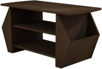 WOODYOU Engineered Wood Coffee Table  (Finish Color - African Oak, Knock Down)