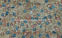 KALAMKARI HAND PAINTED KANCHI BORDER DUPATTA -KHPKBD058
