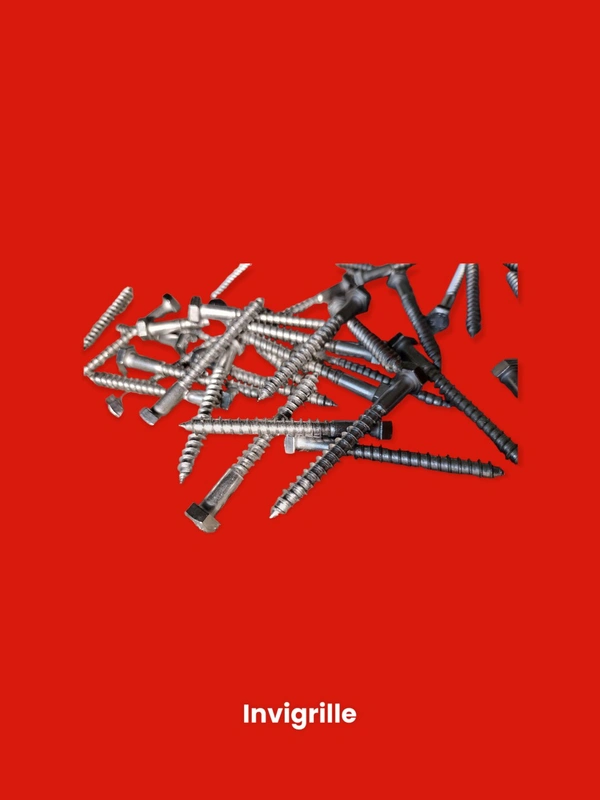 Invigrille  Invisible Grills Fixing Screws for Track  - Silver, 6 By 60 MM