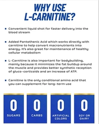 Ronnie Coleman RONNIE COLEMAN SIGNATURE SERIES L-CARNITINE XS 3000, Blue Razz - Blue Razz, 620 G