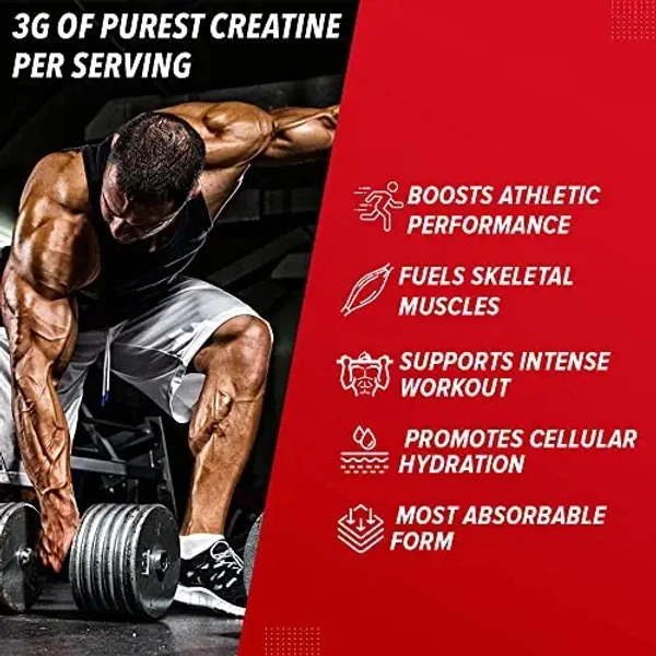 GNC Pro Performance Creatine Monohydrate | Boosts Athletic Performance | Micronized & Instantized | Fuels Muscles |Energy Support for Heavy Workout | Formulated In USA | Unflavoured powder| 250 gm - Unflavoured powder, 250 Gm
