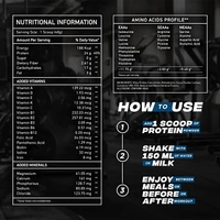 Big Muscle  Bigmuscles Nutrition Essential Whey Protein 1Kg [Dutch Chocolate] | 24g... - Dutch Chocolate, 1 Kg