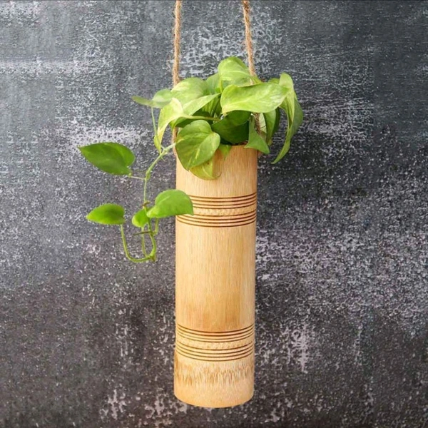 Flower Vase Hanging 