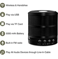 MZ WS-887 Mini Portable Wireless Speaker