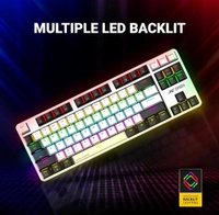 Ant Esports MK4500 Pro TKL Wireless Gaming Keyboard