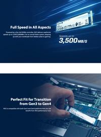 Kingston  SSD KINGSTON NV2 Gen4  250gb NVMe 