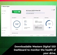 Western Digital  SSD WD SN350 250gb Green Pcie Gen3 Nvme