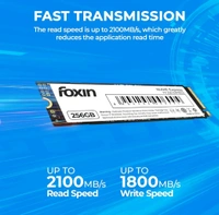 FOXIN Foxin SSD 256GB NVME