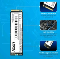 FOXIN Foxin SSD 256GB NVME