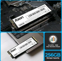 FOXIN Foxin SSD 256GB NVME