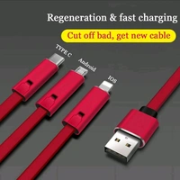 3 IN 1  Cable