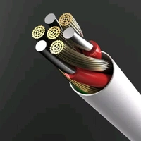 Ovista Type C, AVDM-011CABLE With 6 Month Warranty