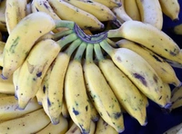 केला Kela Banana