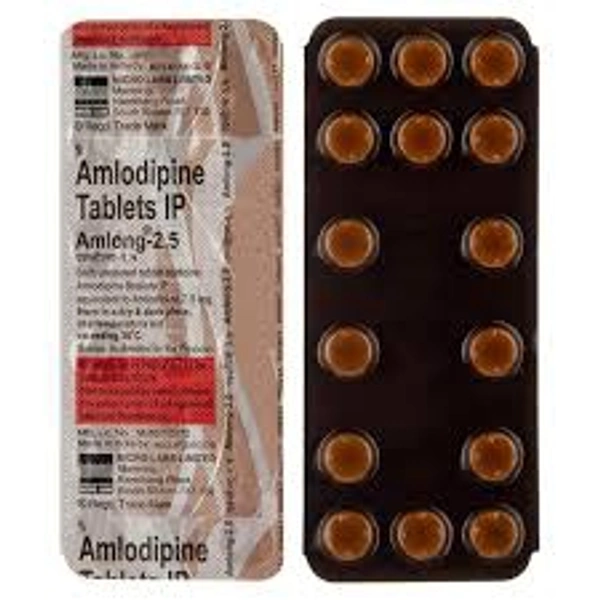 AMLONG 2.5MG - 10TAB
