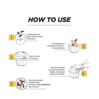 0065 Manual Stainless Steel Compact Extra Sharp Hand Held Vegetable Chopper/Slicer with 5 Blades (750 ml)
