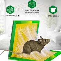 0204 Green Mice Glue Traps (1pc)