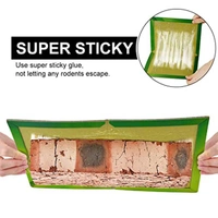0204 Green Mice Glue Traps (1pc)