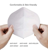 0258  N95 Anti Pollution/Virus Face Mask