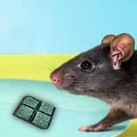 0296 PCI Roban the Rat Killer (Brown) Small