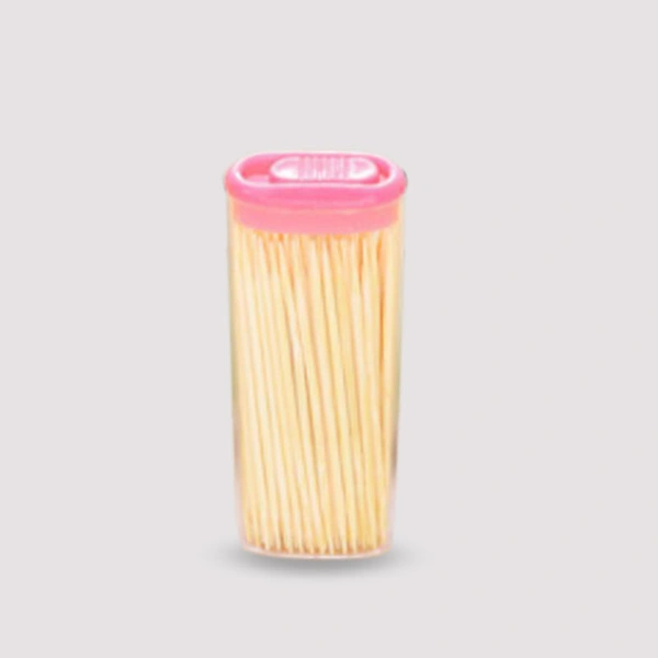 1095 Bamboo Toothpicks with Dispenser Box