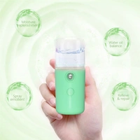 1313 Nano Mist Sprayer Humidifier Handy Portable Sprayer