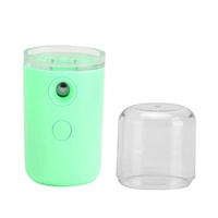 1313 Nano Mist Sprayer Humidifier Handy Portable Sprayer