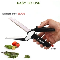 2005 SS Vegetable Cutter Used For Cutting And Chopping Of Vegetables.