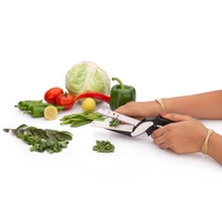 2005 SS Vegetable Cutter Used For Cutting And Chopping Of Vegetables.
