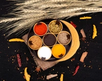2509 Round Plastic Masala Spice Box