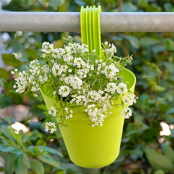 3850 Plastic Hanging Planter Pot, Multicolour