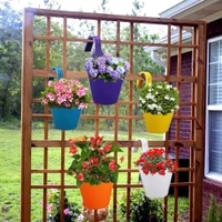 3850 Plastic Hanging Planter Pot, Multicolour