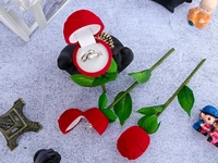 Hug Ring With Rose Box  - Silver