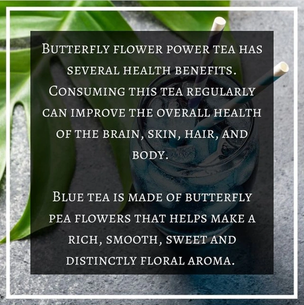 Butterfly Pea Flower Tea ( 25g ) - 25g