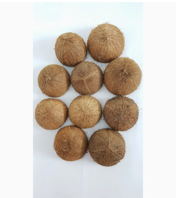 Unpolished Coconut Shell  - 10 Peices