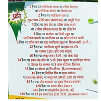 Saburi Elaichi Chai -₹10 (Pack Of 25)