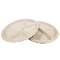 Metromony (Plastic) Plates With For Compatmants - 12 Inchis (Pack Of 25)