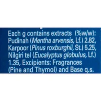 Vicks VapoRub Pain Relief Balm 5 ml (Pack of 12) - ₹25