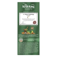 Kesh King Ayurvedic Scalp and Hair Medicine Ayurvedic Oil, 100 ml