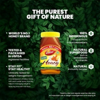 Dabur Honey - 100% Pure, World's No.1 Honey Brand (No Sugar Adulteration) - 100g
