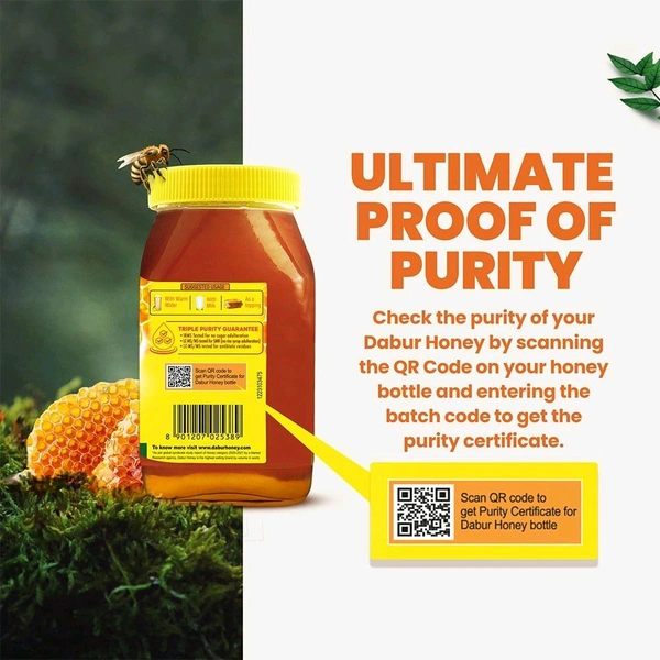 Dabur Honey - 100% Pure, World's No.1 Honey Brand (No Sugar Adulteration) - 100g