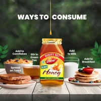 Dabur Honey - 100% Pure, World's No.1 Honey Brand (No Sugar Adulteration) - 100g