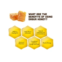 Dabur Honey - 100% Pure, World's No.1 Honey Brand (No Sugar Adulteration) - 250g