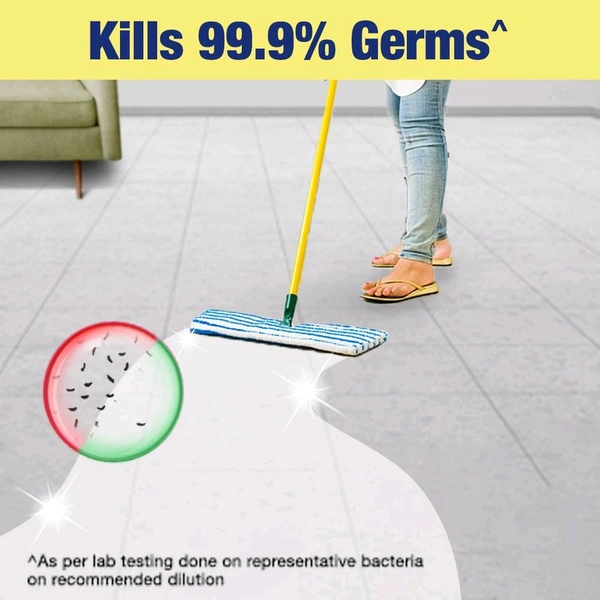 Lizol Disinfectant Surface & Floor Cleaner (Citrus) 500 ml