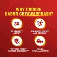 Dabur Chyawanprash 3x Immunity Action 500g