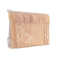 Wooden Spoon - 160mm (Pack Of 100 Pieces)