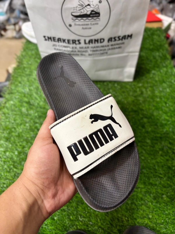 REG PUMA - 7