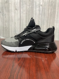 Airmax 2090 - 8.5