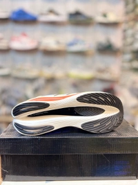 NB Fuelcell - 43(8.5)